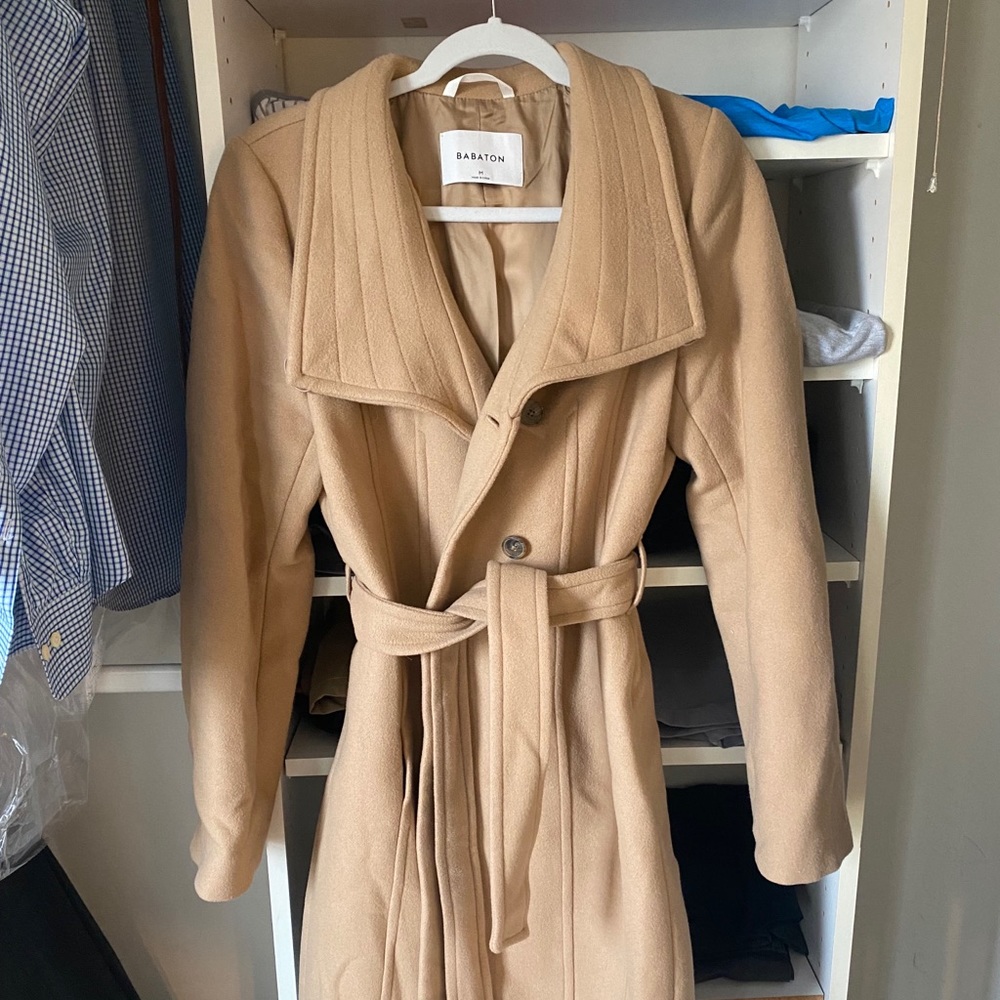 Aritzia Babaton brown wool peacoat
